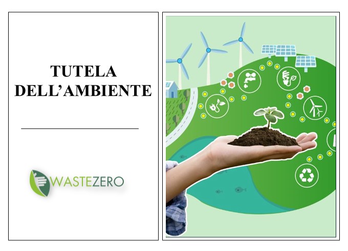 Costituzione ‘verde’: innovazioni e questioni aperte in merito alla tutela dell’ambiente 