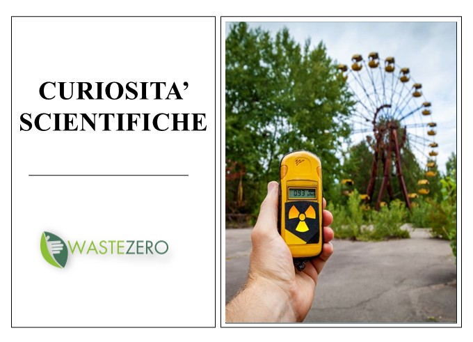 La ‘rinascita’ naturale a Chernobyl: come convivono flora e fauna di fronte alle radiazioni oggi?