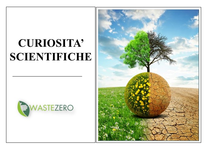 Siccità globale: sicurezza alimentare e produzione energetica in pericolo secondo l’ultimo report dell’UE