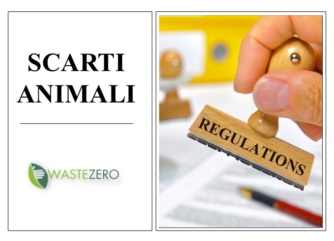 Scarti animali: rifiuti o sottoprodotti? La Corte di Cassazione chiarisce la normativa applicabile